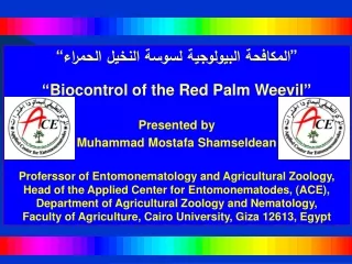 ” ال مكافحة  ال بيولوجية  لسوسة النخيل الحمراء “ “Biocontrol of the Red Palm Weevil”  Presented by