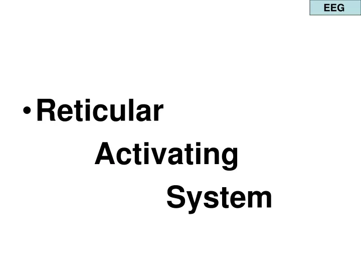 reticular activating system