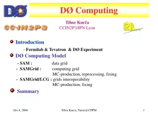 D Ø Computing