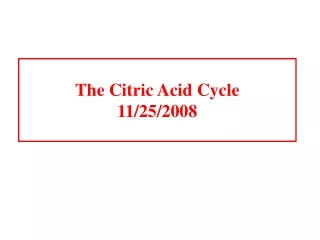 The Citric Acid Cycle 11/25/2008