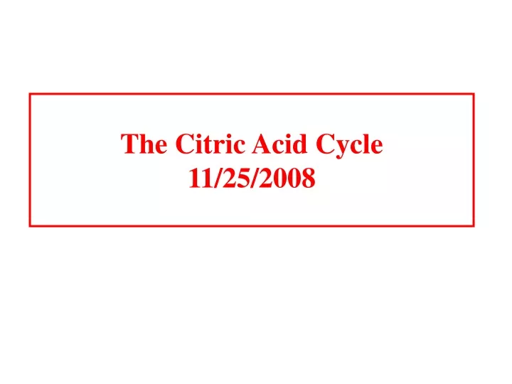 the citric acid cycle 11 25 2008