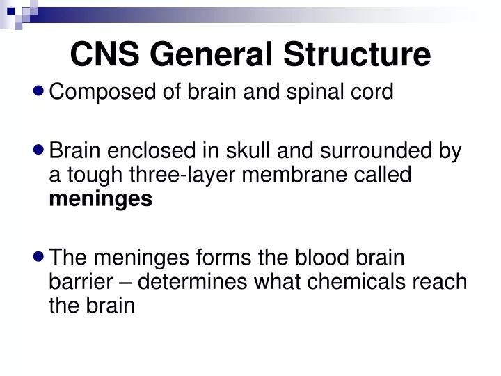 cns general structure
