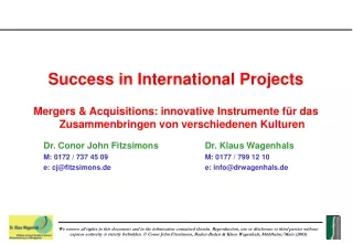 Success in International Projects