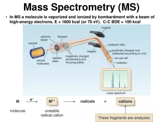 Mass Spectrometry (MS)