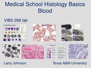 Medical School Histology Basics Blood