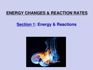 ENERGY CHANGES &amp; REACTION RATES