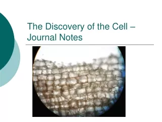 The Discovery of the Cell – Journal Notes