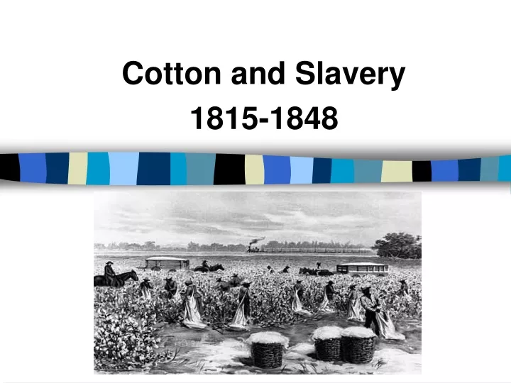 cotton and slavery 1815 1848
