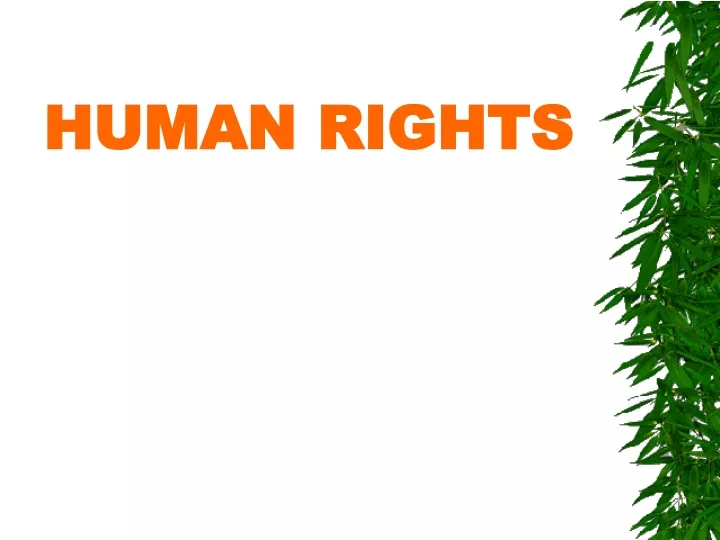 human rights