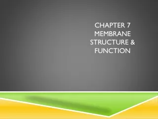 Chapter 7 Membrane Structure &amp; Function