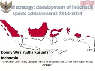 Grand strategy: development of Indonesia sports achievements 2014-2024