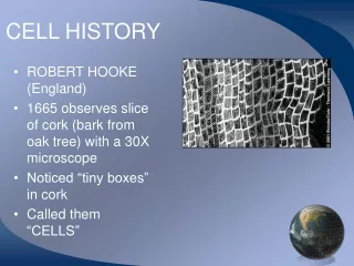 CELL HISTORY