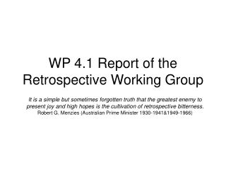 WP 4.1 Report of the Retrospective Working Group