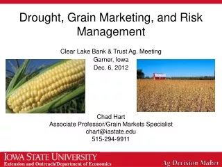 Drought, Grain Marketing, and Risk Management