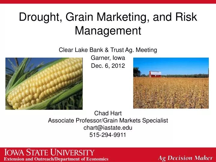 drought grain marketing and risk management