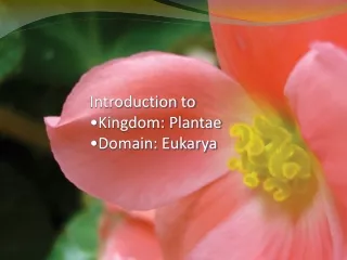 Introduction to  Kingdom: Plantae Domain: Eukarya