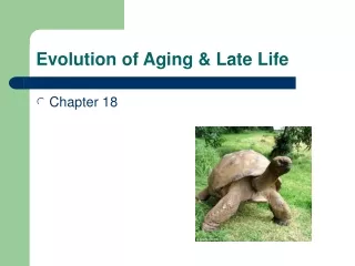 Evolution of Aging &amp; Late Life