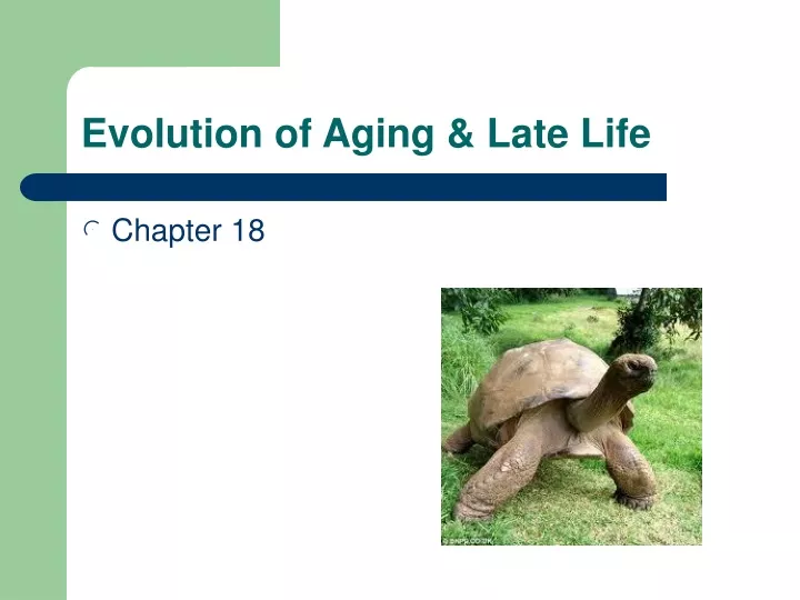 evolution of aging late life