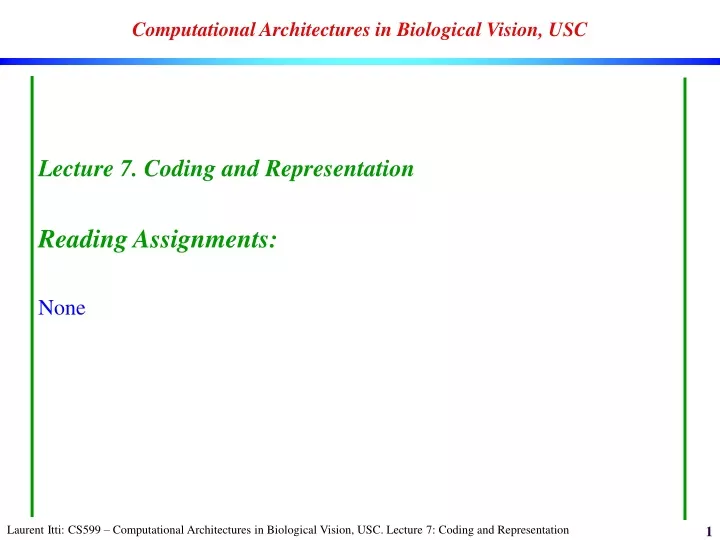 computational architectures in biological vision usc