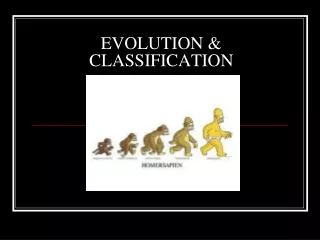 EVOLUTION &amp; CLASSIFICATION