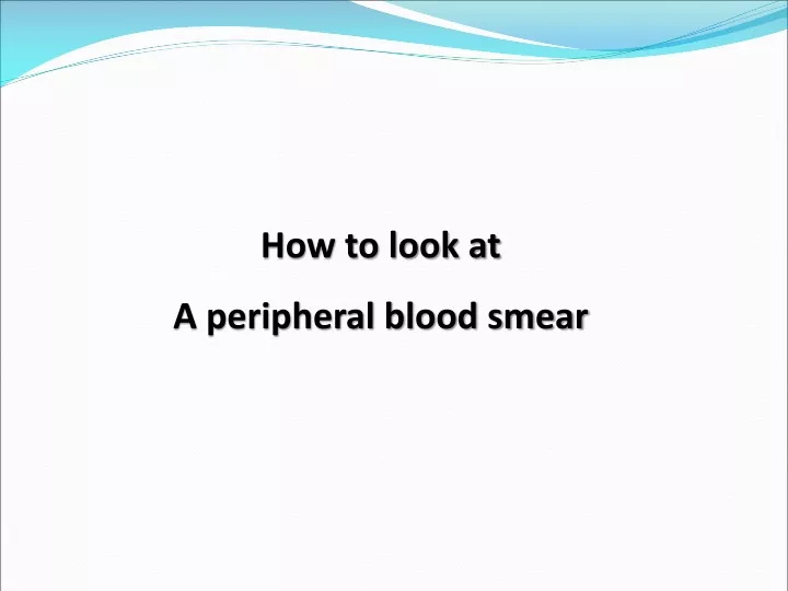 how to look at a peripheral blood smear