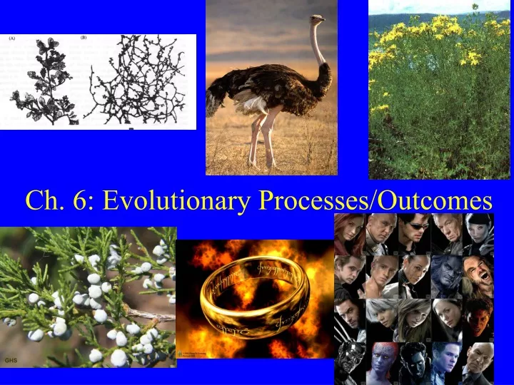 ch 6 evolutionary processes outcomes