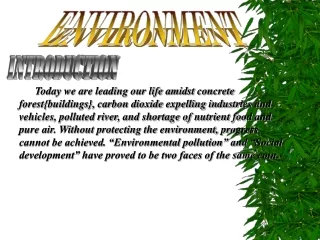 ENVIRONMENT