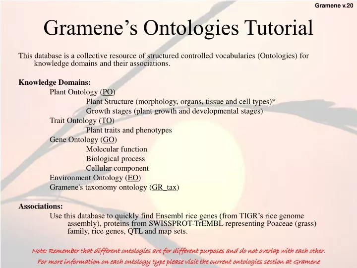 gramene s ontologies tutorial