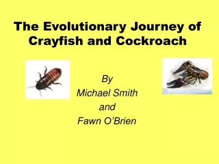 The Evolutionary Journey of Crayfish and Cockroach