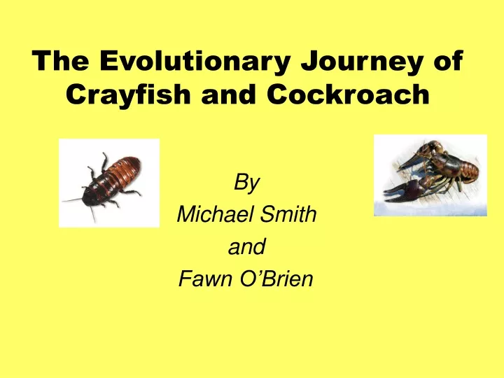 the evolutionary journey of crayfish and cockroach