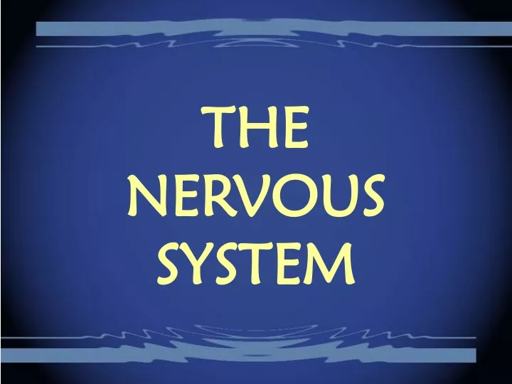 the nervous system