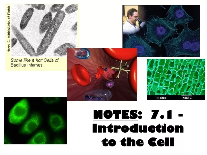 notes 7 1 introduction to the cell