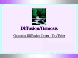 Diffusion/Osmosis