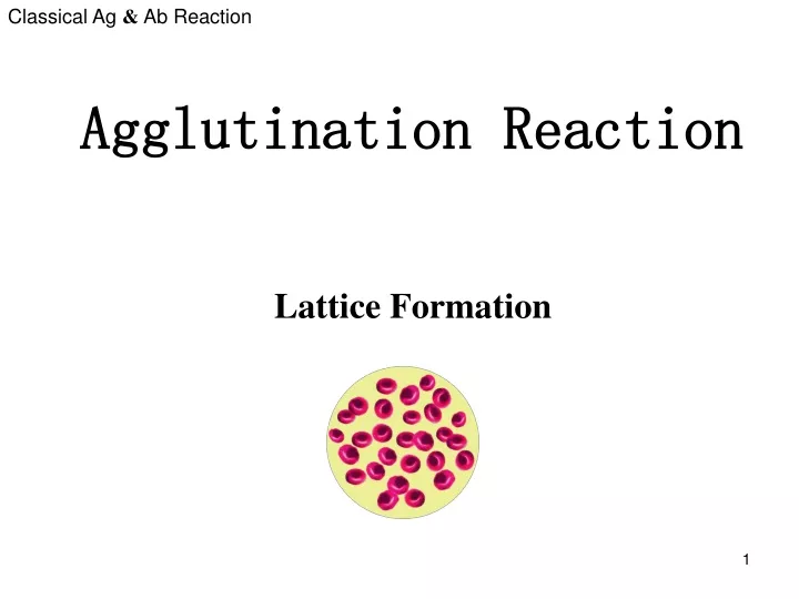 agglutination reaction