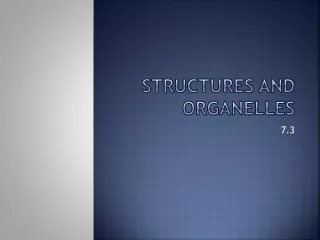 Structures and organelles