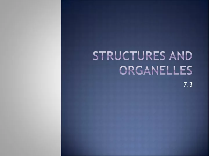 structures and organelles