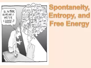 Spontaneity, Entropy, and  Free Energy