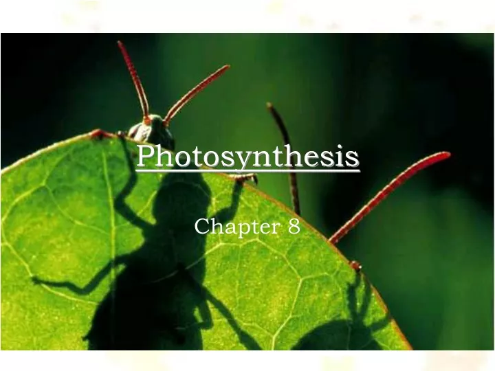 photosynthesis