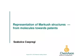 Representation of  Markush  structures   —  from molecules towards patents