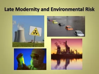 Late Modernity and Environmental Risk