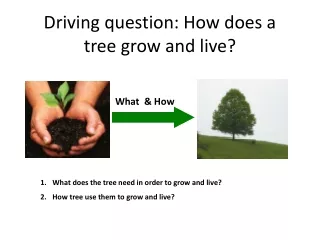 Driving question: How does a tree grow and live?