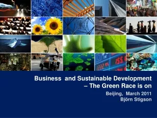 Business  and Sustainable Development – The Green Race is on