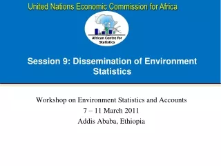 Session 9: Dissemination of Environment Statistics