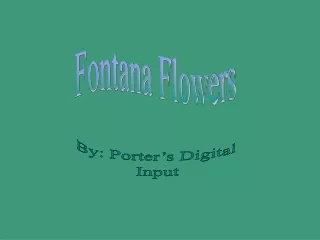 Fontana Flowers