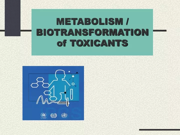 metabolism biotransformation of toxicants