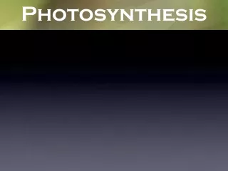 Photosynthesis