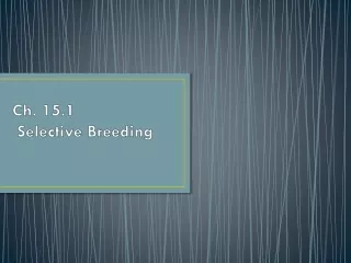 Ch. 15.1  Selective Breeding