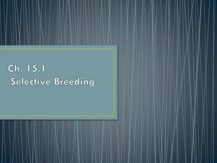 ch 15 1 selective breeding