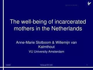 The well-being of incarcerated mothers in the Netherlands