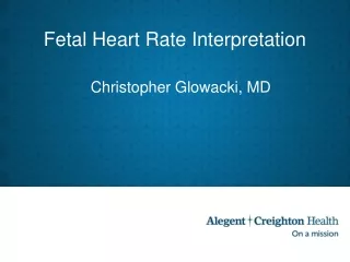 Fetal Heart Rate Interpretation